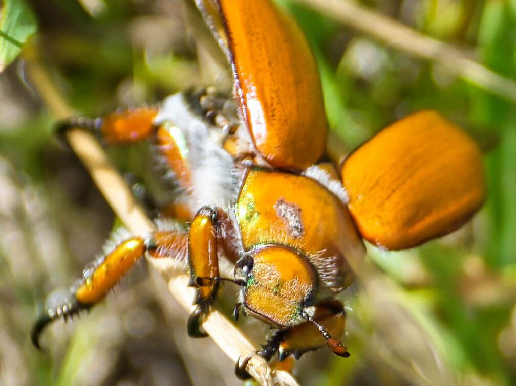 Australien 20140102 0536