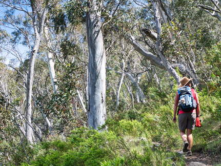 Australien 20140102 0541