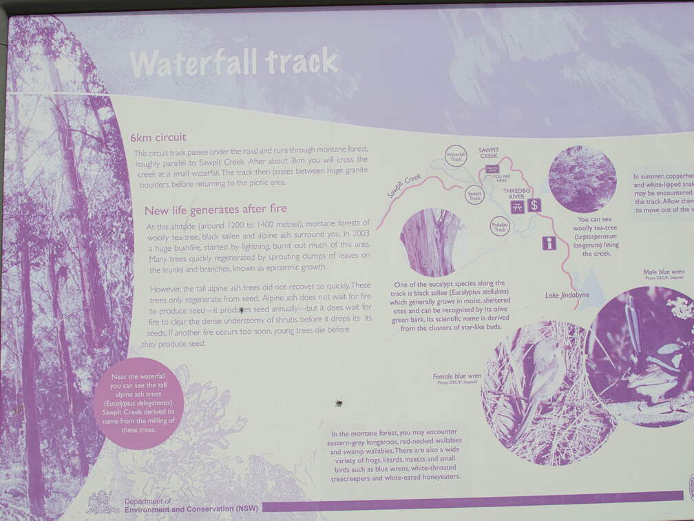 Australien 20140102 0544