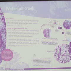 Australien 20140102 0544