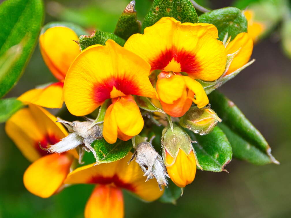 Australien 20140102 0545