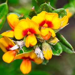 Australien 20140102 0545