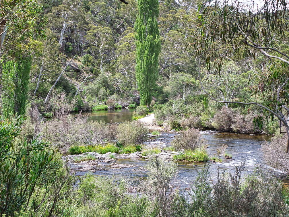 Australien 20140102 0550