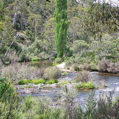 Australien 20140102 0550