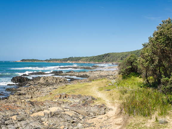 Australien 20140105 0594