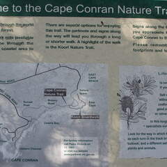 Australien 20140105 0602