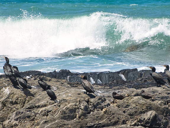 Australien 20140105 0613