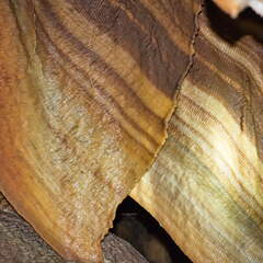 Australien 20140106 0633