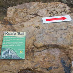 Australien 20140107 0672