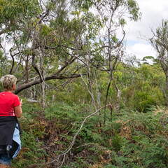 Australien 20140107 0695