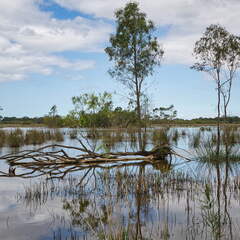 Australien 20140107 0734