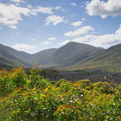 Australien 20140107 0753