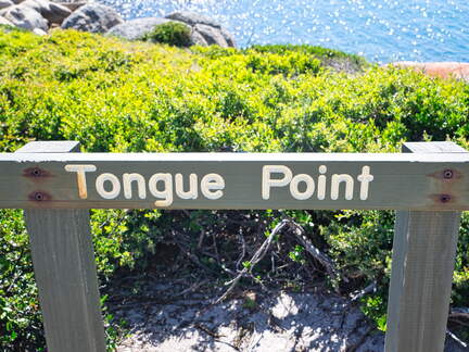 Australien 20140108 0779