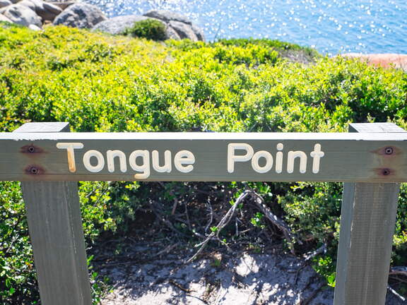 Australien 20140108 0779