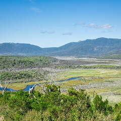 Australien 20140108 0782