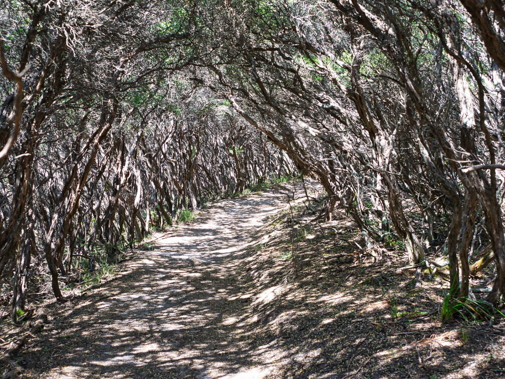 Australien 20140109 0801