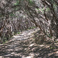 Australien 20140109 0801