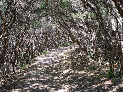 Australien 20140109 0801