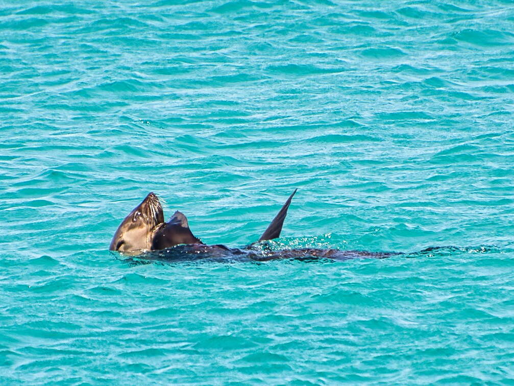 Australien 20140109 0804