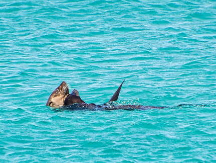 Australien 20140109 0804