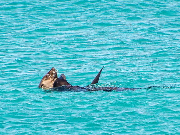 Australien 20140109 0804