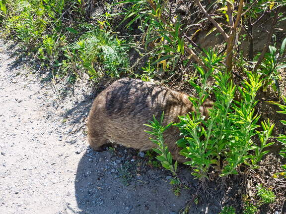 Australien 20140109 0810