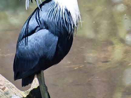 Australien 20140112 0843
