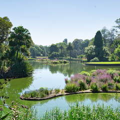 Australien 20140113 0853