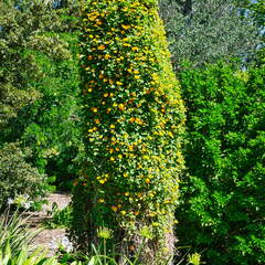 Australien 20140113 0856