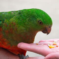 Australien 20140115 0907