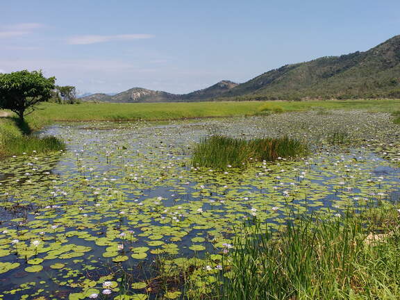 IMG 20161003 120541925