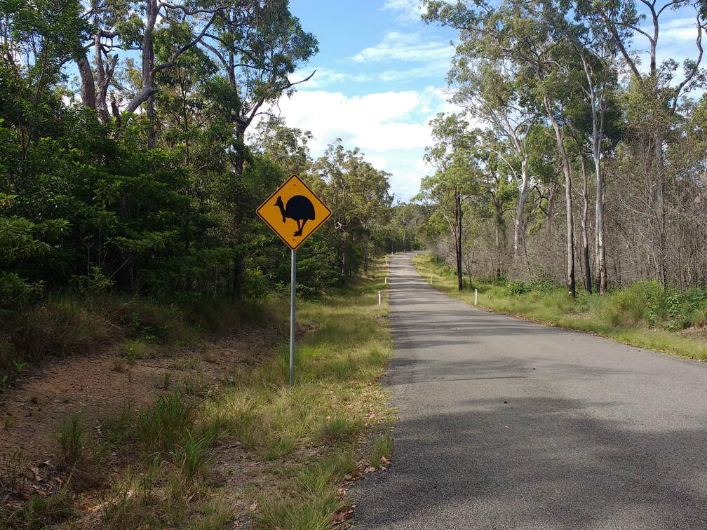 IMG 20161004 161849895