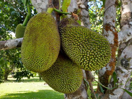 IMG 20161008 154312300 HDR