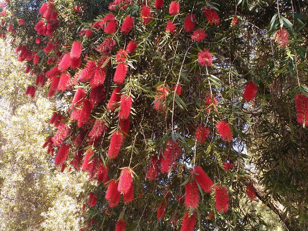 IMG 20161012 122158303