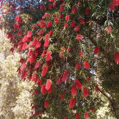 IMG 20161012 122158303