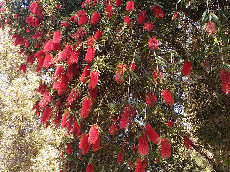 IMG 20161012 122158303