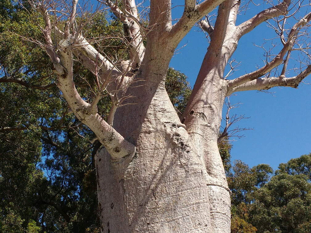 IMG 20161012 130744265