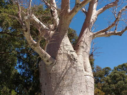 IMG 20161012 130744265