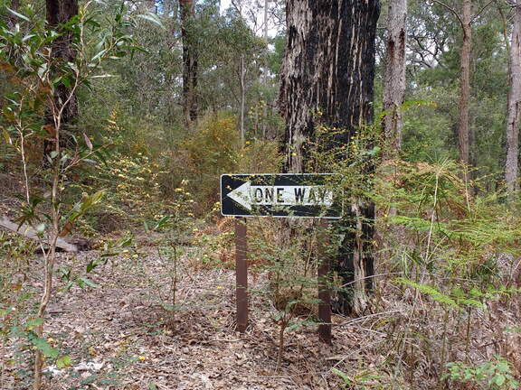 IMG 20161017 145110042