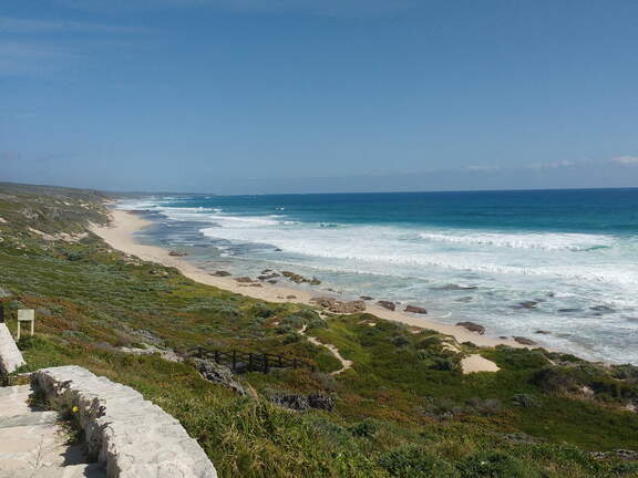 IMG 20161018 163203849