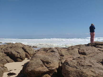 IMG 20161018 164119586