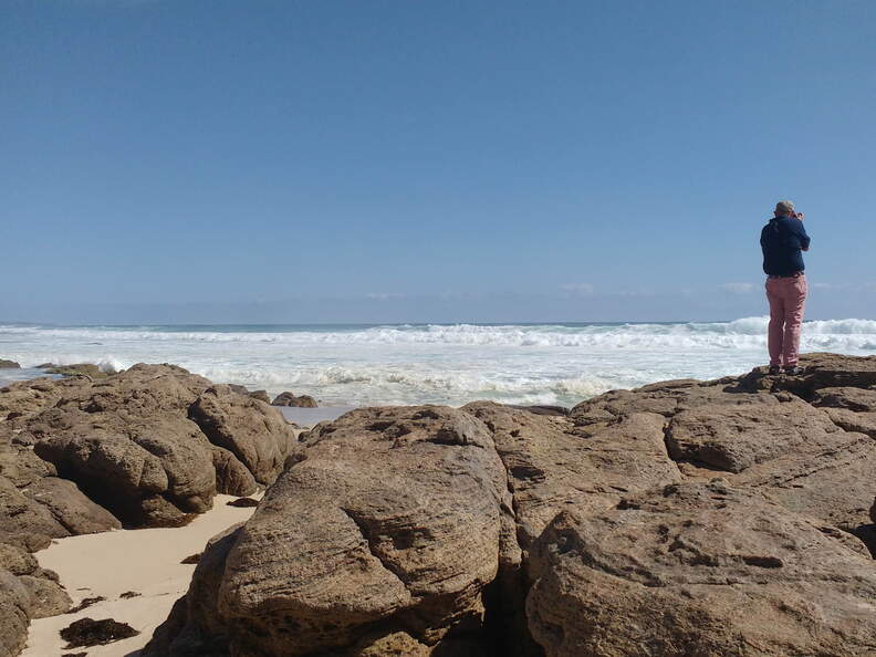 IMG 20161018 164119586