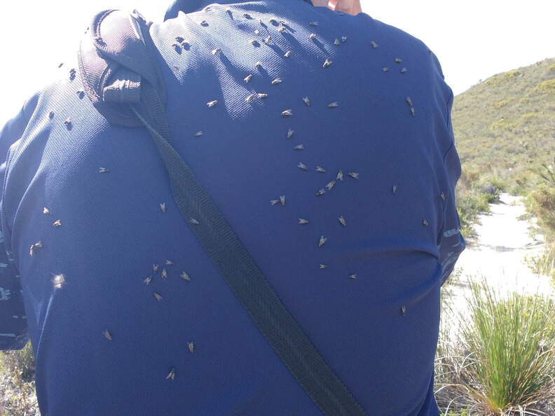 IMG 20161020 164407101