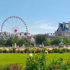 IMG 20180629 120630484