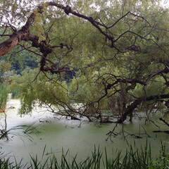 IMG 20180701 013826046