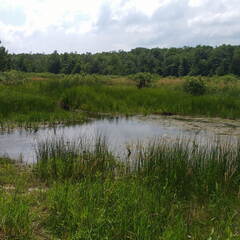 IMG 20180702 150715418