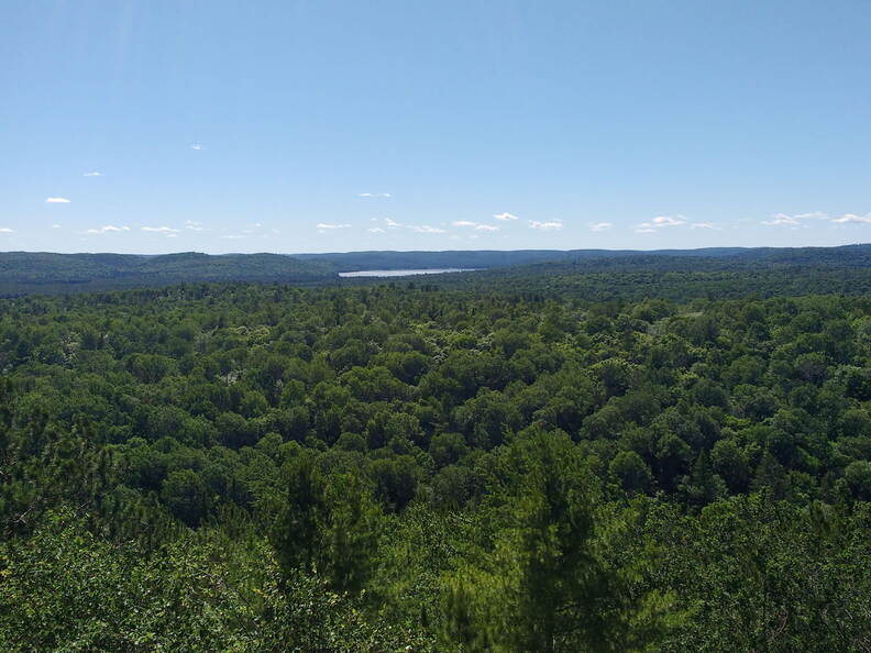 IMG 20180706 160526053