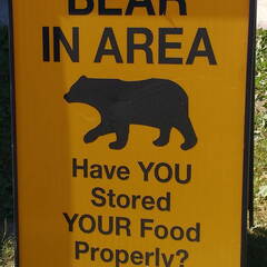 IMG 20180707 100327006