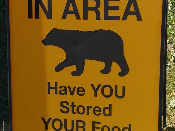 IMG 20180707 100327006