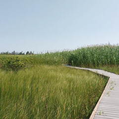 IMG 20180712 104357475